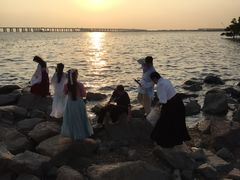 -宝安西湾红树林湿地公园