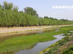 -马家湾湿地公园