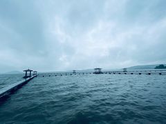 -湖滨客舍·湖北菜