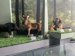 -房山世界地质公园博物馆