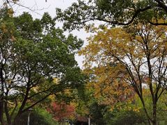 -长广溪湿地公园