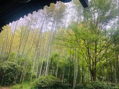 -法云安缦酒店