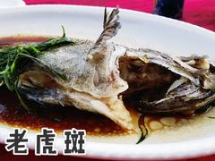 -台山美食一绝阿四台山黄鳝饭(阿四创作店)