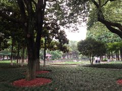 -中共上海市委党校 上海行政学院