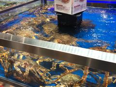 水产区-盒马鲜生(龙德广场店)