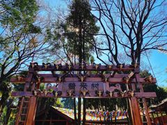 -云南民族村