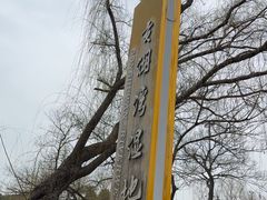 -贡湖湾湿地公园