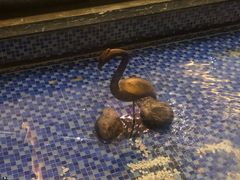 -豫满楼(郑东新区店)
