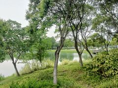 -尚贤河湿地