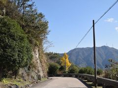 -四明山国家森林公园