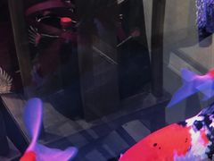 -东来菜馆•手抓海鲜家常菜•海鲜锅贴(鸽子窝店)