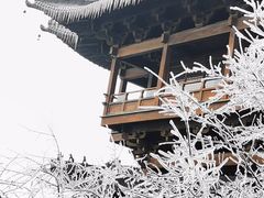 -杭州半山国家森林公园