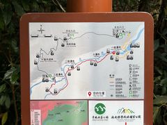 -海南热带雨林国家公园吊罗山景区