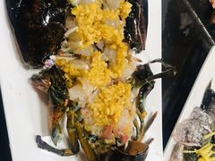 波斯顿龙虾-船奇蒸汽海鲜·闽菜(八市海鲜总店)