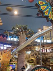 -卡通尼·Safari非洲探索乐园·生日会(金桥国际商业广场店)