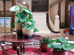 -圣雷克大酒店-爱琴海自助餐厅