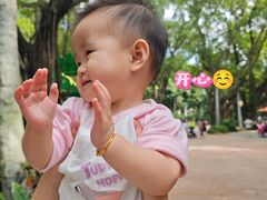 -麒麟中餐厅·经典粤菜·地道菜式老字号(广州长隆酒店)