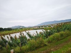 -光明小镇欢乐田园