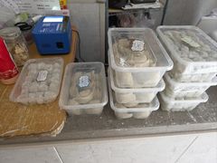 -梦花街馄饨店(中华苑店)