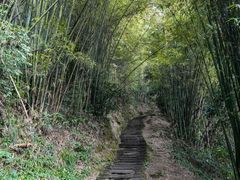 -缙云山景区