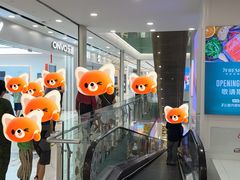 -凯德MALL(望京店)