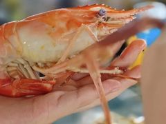 -蟹天蟹地农家菜·阳澄湖大闸蟹(浅水湾店)