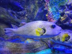 -太平洋海底世界