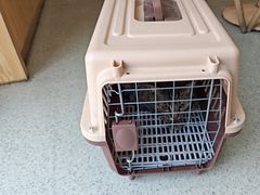 -宠颐生宠物医院·心肾内科·猫专科诊疗中心宠巢店
