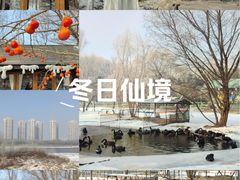 -长白岛森林公园