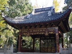 -汇龙潭