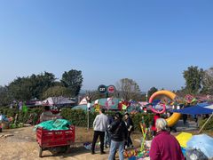 -铁山坪森林公园