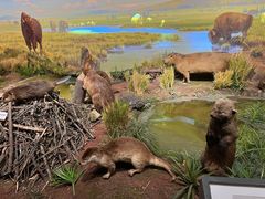 -陕西自然博物馆