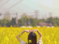 -桤木河湿地公园