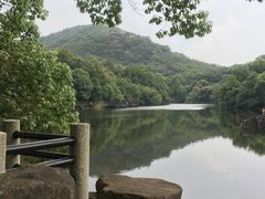 -白马涧龙池景区