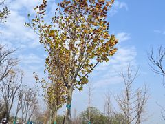 -华谊兄弟（长沙）电影小镇