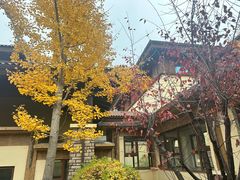 -大连金石滩绿发温泉假日酒店