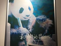 -蜀江龙火锅(339店)