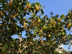 -上海市公安局交通警察总队车辆管理所三分所