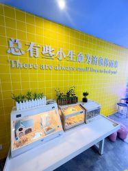 -神奇动物撸宠馆·羊驼·小浣熊·异宠(豫园店)