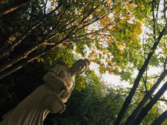 -西安曲江寒窑遗址公园