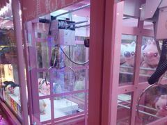 -汤姆熊欢乐世界(罗斯福店)
