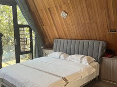 -长沙黑麋峰国家森林公园