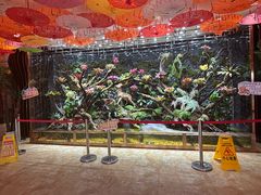 -青鱼湾水上乐园