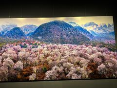 -罗红摄影艺术馆