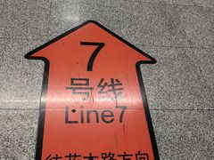 -杨高南路(地铁站)