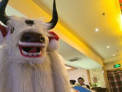 -思金拉措庄园藏餐(太阳岛店)