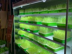 -番食园鲜食火锅(高新店)