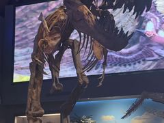 -贝林大翅鲸简餐厅(国家海洋博物馆店)