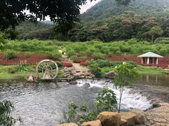 -广州市石门国家森林公园