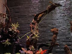 -泰适SPA馆丨精油·按摩·足道(后海地铁口店)